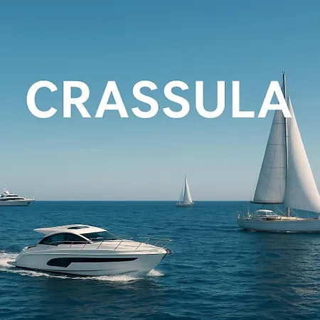 Διαμέρισμα Crassula Lux Surčin