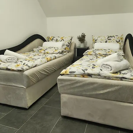 Crassula Lux * Surčin