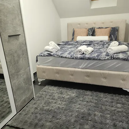 Crassula Lux * Surčin