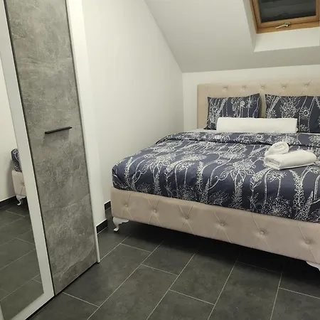 Crassula Lux Surčin