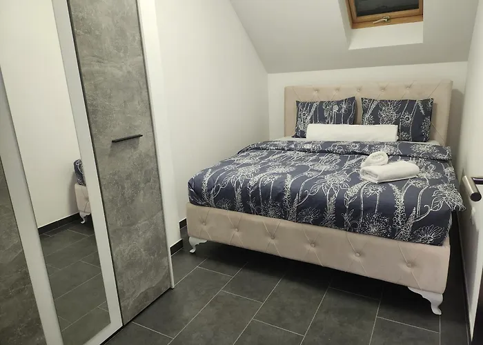 Crassula Lux Surčin